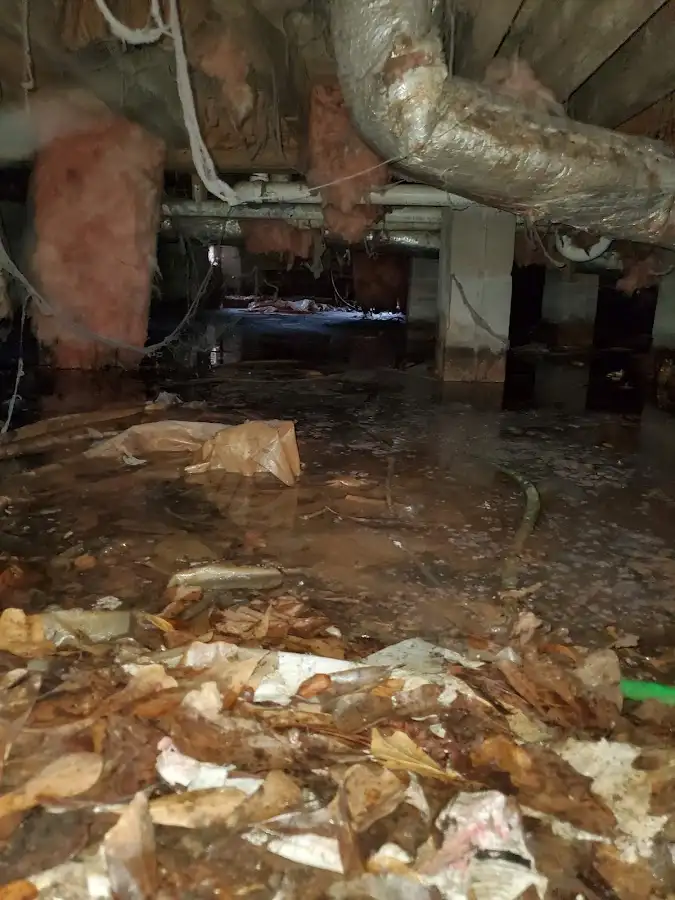 Crawl space flood assessment for Leak Detection & Repair in Haiku-Pauwela